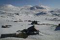 Myrdal-Oslo (3)